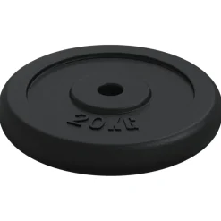 vidaXL Halterschijf 40 kg gietijzer