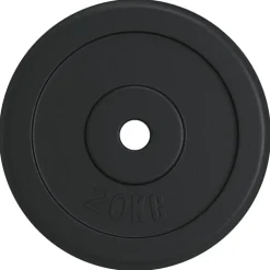 vidaXL Halterschijf 40 kg gietijzer