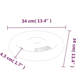 vidaXL Halterschijf 40 kg gietijzer