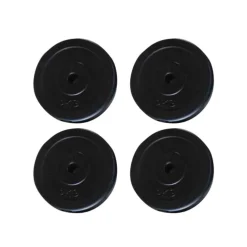 vidaXL Halterschijven 4 st 20 kg