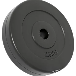 vidaXL Halterschijven 6 st 30 kg cement