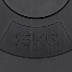 vidaXL Halterschijven 2 stuks 30 kg beton