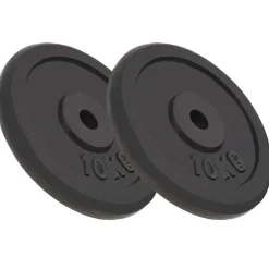 vidaXL Halterschijven 2 st 2x10 kg gietijzer