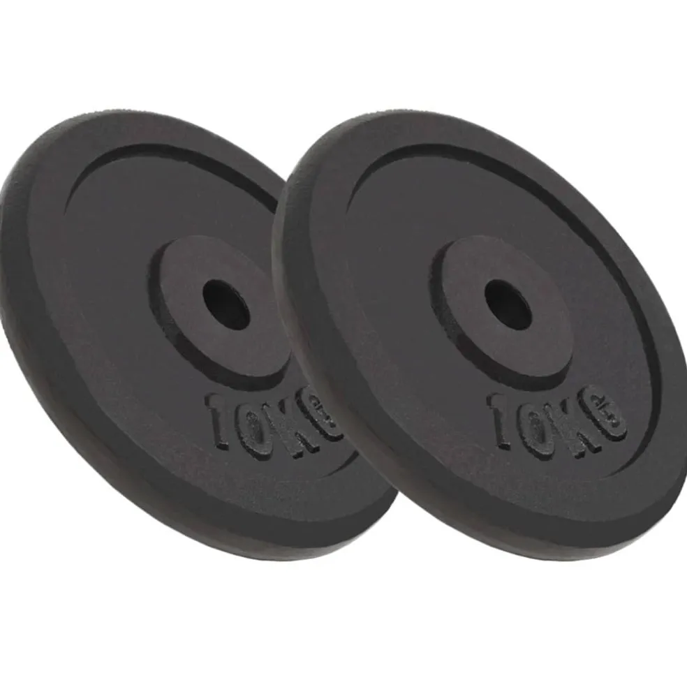 vidaXL Halterschijven 2 st 2x10 kg gietijzer