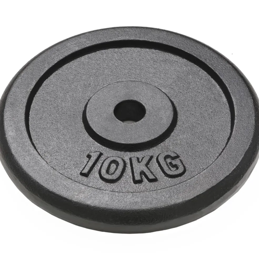 vidaXL Halterschijven 2 st 2x10 kg gietijzer