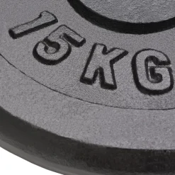 vidaXL Halterschijven 2 st 2x15 kg gietijzer