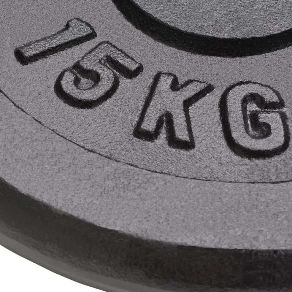 vidaXL Halterschijven 2 st 2x15 kg gietijzer