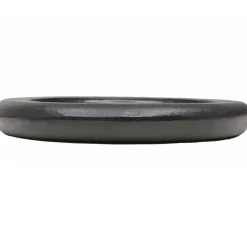 vidaXL Halterschijven 2 st 2x15 kg gietijzer