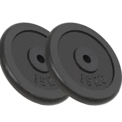 vidaXL Halterschijven 2 st 2x15 kg gietijzer