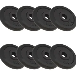 vidaXL Halterschijven 8 st 8x2,5 kg gietijzer