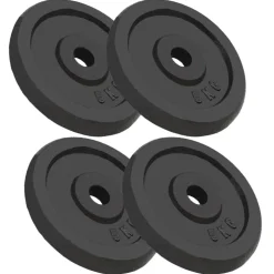 vidaXL Halterschijven 4 st 4x5 kg gietijzer