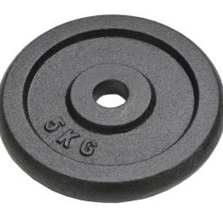 vidaXL Halterschijven 4 st 4x5 kg gietijzer