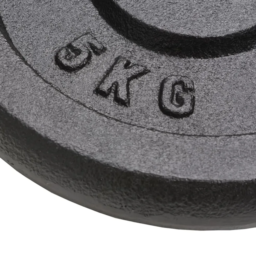 vidaXL Halterschijven 4 st 2x10 kg en 2x5 kg gietijzer
