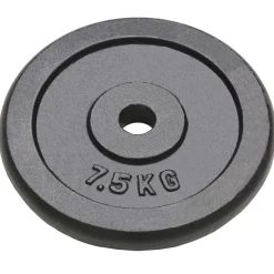 vidaXL Halterschijven 4 st 4x7,5 kg gietijzer