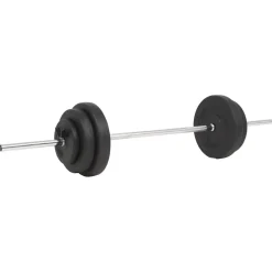 vidaXL Halterset 30 kg