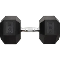 vidaXL Halters 30 kg gietijzer