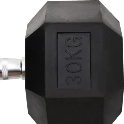 vidaXL Halters 30 kg gietijzer