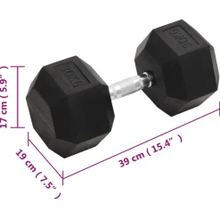 vidaXL Halters 30 kg gietijzer