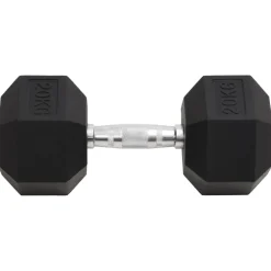 vidaXL Halters 20 kg gietijzer