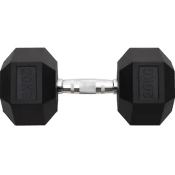 vidaXL Halters 20 kg gietijzer