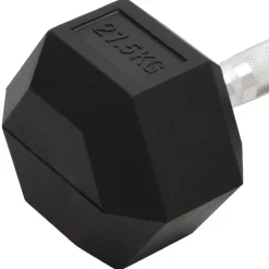 vidaXL Halters 27,5 kg gietijzer