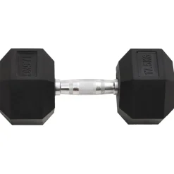 vidaXL Halters 17,5 kg gietijzer