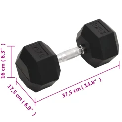 vidaXL Halters 25 kg gietijzer