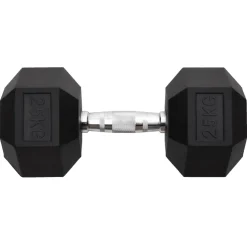 vidaXL Halters 25 kg gietijzer