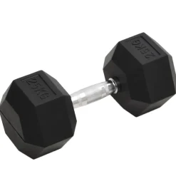 vidaXL Halters 25 kg gietijzer