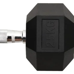 vidaXL Halters 25 kg gietijzer