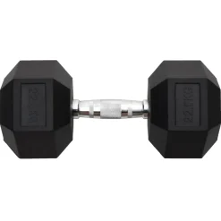 vidaXL Halters 22,5 kg gietijzer