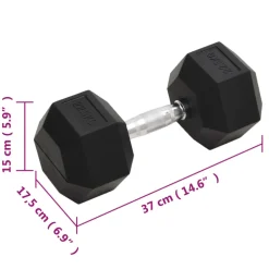 vidaXL Halters 22,5 kg gietijzer