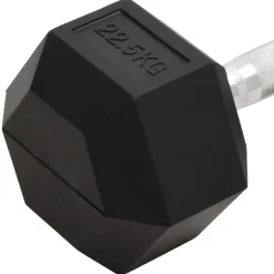 vidaXL Halters 22,5 kg gietijzer