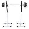 vidaXL Halter-/squatrek met halterset 30,5 kg