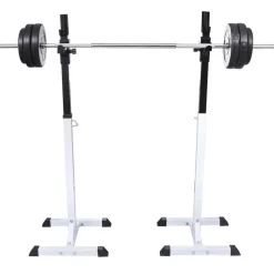 vidaXL Halter-/squatrek met halterset 30,5 kg