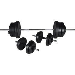 vidaXL Halter-/squatrek met halterset 60,5 kg