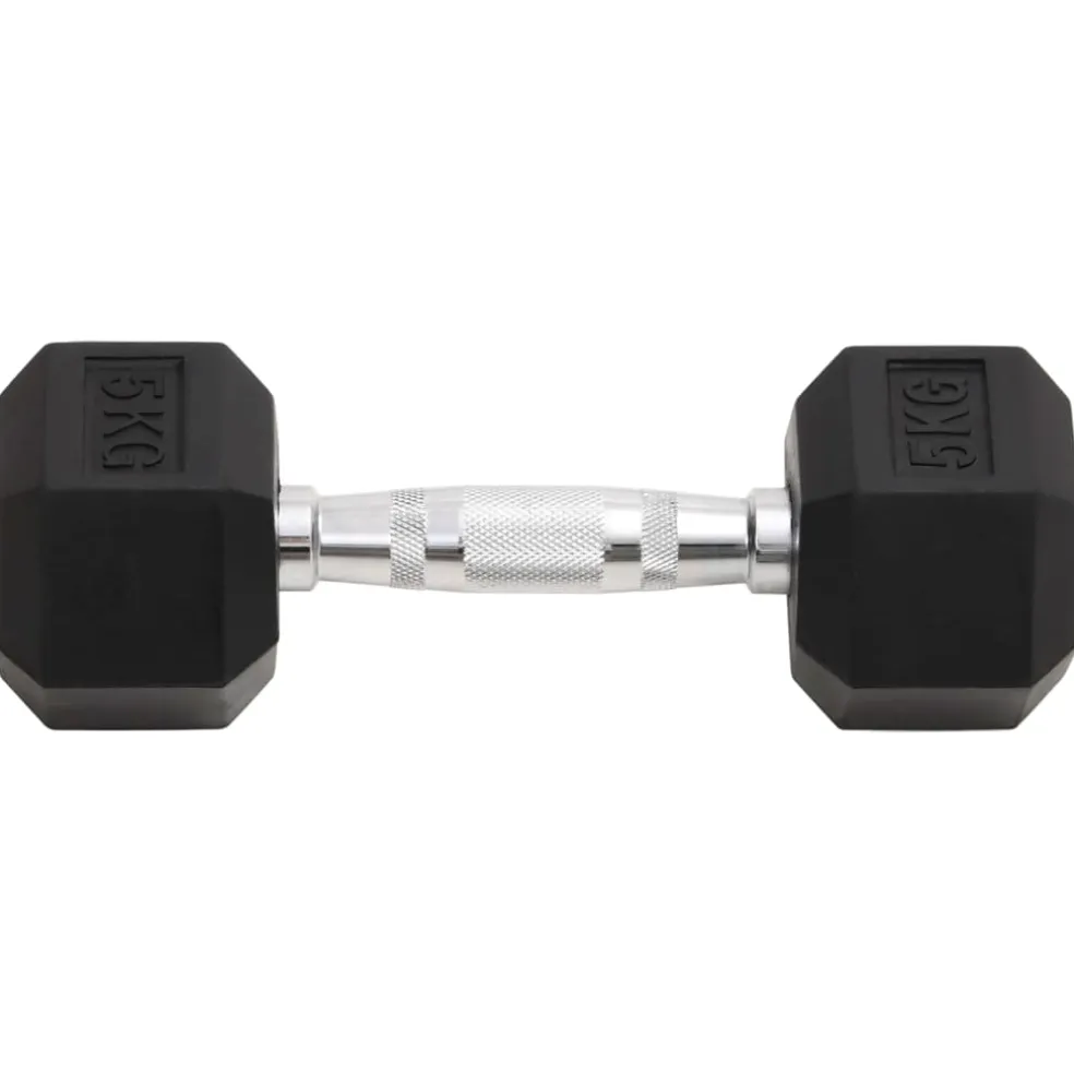 vidaXL Halters 2 st 5 kg totaal gietijzer