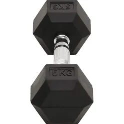 vidaXL Halters 2 st 5 kg totaal gietijzer