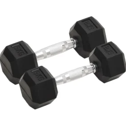 vidaXL Halters 2 st 5 kg totaal gietijzer