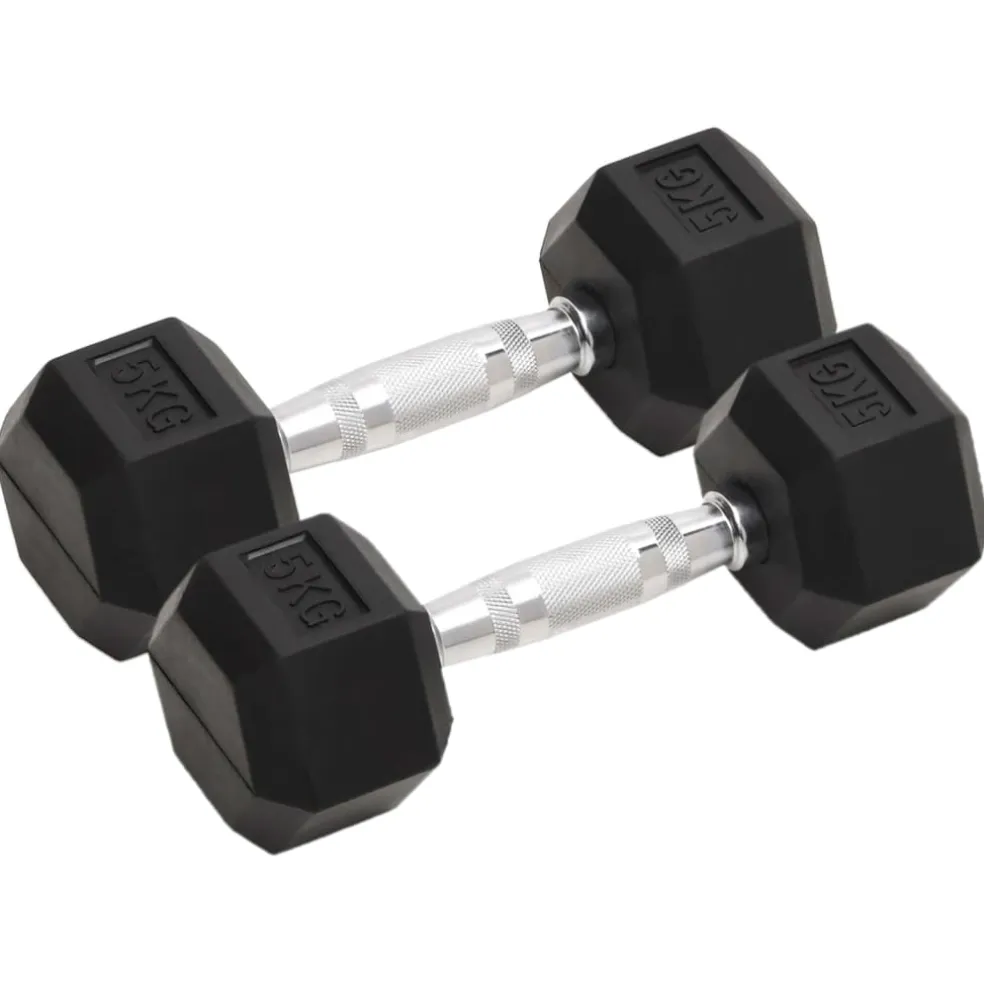 vidaXL Halters 2 st 5 kg totaal gietijzer