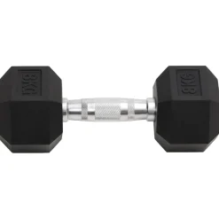 vidaXL Halters 2 st 8 kg totaal gietijzer