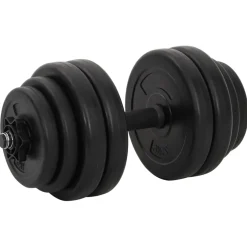vidaXL Halters 2x15 kg
