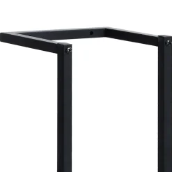 vidaXL Handdoekenrek 25x20x95 cm ijzer zwart