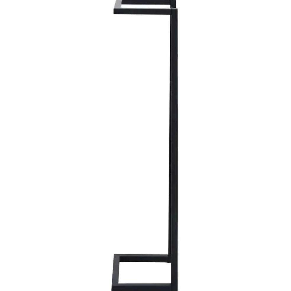vidaXL Handdoekenrek 25x20x95 cm ijzer zwart