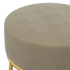 vidaXL Hocker rond fluweel donkergrijs