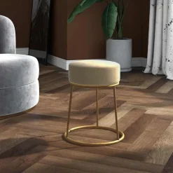 vidaXL Hocker rond fluweel donkergrijs