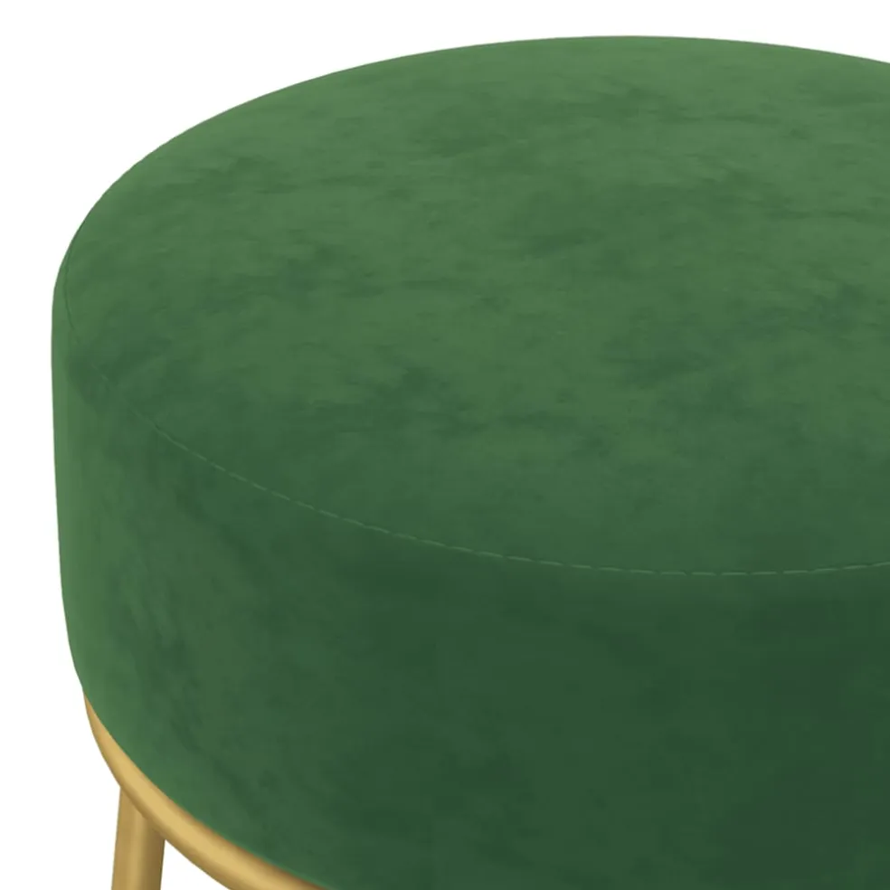 vidaXL Hocker rond fluweel groen