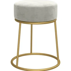vidaXL Hocker rond fluweel lichtgrijs
