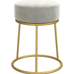 vidaXL Hocker rond fluweel lichtgrijs