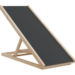 vidaXL Hondenloopplank 100x40 cm massief vurenhout grijs